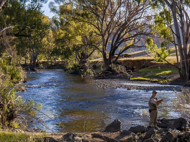 Tumut, Kosciuszko National Parkcredit: Murray Vanderveerescape2 january 2022my hols heather ewart