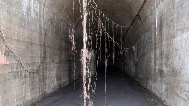 Tree roots have broken into the tunnels in search of freshwater from the subterranean lakes. Picture: Andrew Murray.