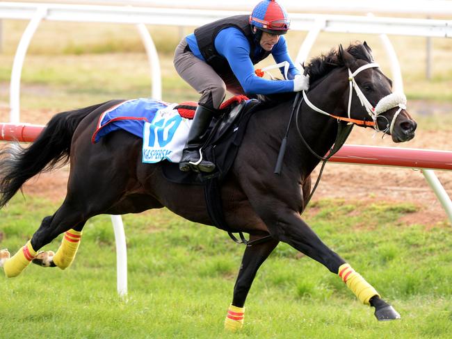 Kaspersky works down the Werribee home straight. Picture: AAP