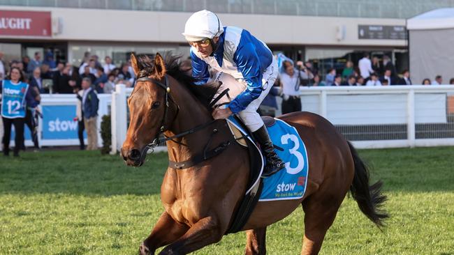 Alligator Blood and champion jockey Damien Oliver will continue their new partnership in the Group 1 Makybe Diva Stakes at Flemington. Picture: Racing Photos via Getty Images