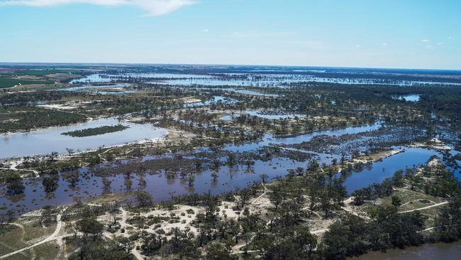 Power is expected to be cut from 3500 – 4000 properties as water levels in the River Murray peak. Picture: SA Government