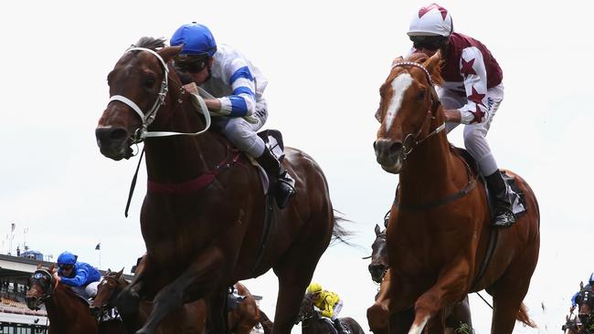 Blake Shinn on Kermadec.