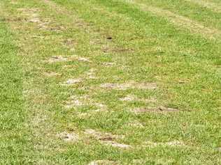 TRACK ISSUE: The area of concern after flooding on the Ipswich Turf Club racing surface. Picture: Cordell Richardson