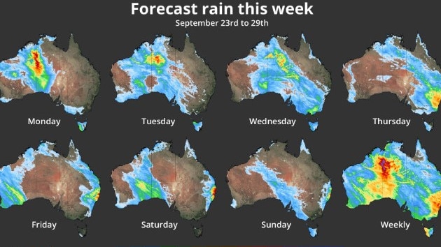 Forecast daily and weekly accumulated rain this week, according to the ECMWF-HRES model. Picture: Weatherzone