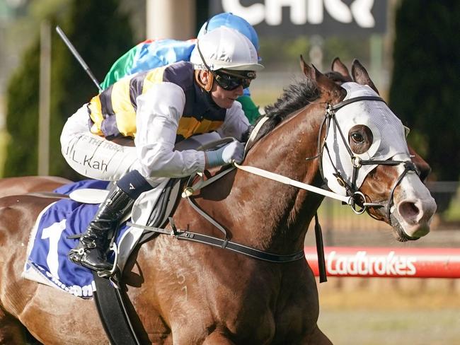 I'm Thunderstruck (NZ) ridden by Jamie Kah wins the Dominant Cleaning Solutions Handicap at Moonee Valley Racecourse on July 31, 2021 in Moonee Ponds, Australia. (Scott Barbour/Racing Photos via Getty Images)