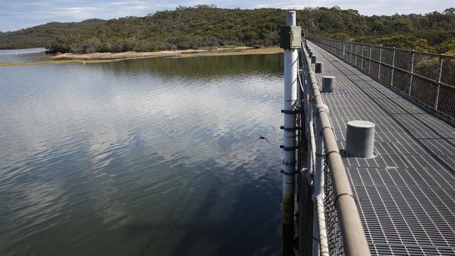 Manly Dam is a popular swimming spot, where BMAA was discovered. Picture: Virginia Young