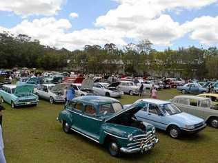 CLASSIC CRUSING: The Combined Coastal Car Club is now holding Friday Cruising Cooroy evenings. This is a photo of last year's show and shine. Picture: Contributed