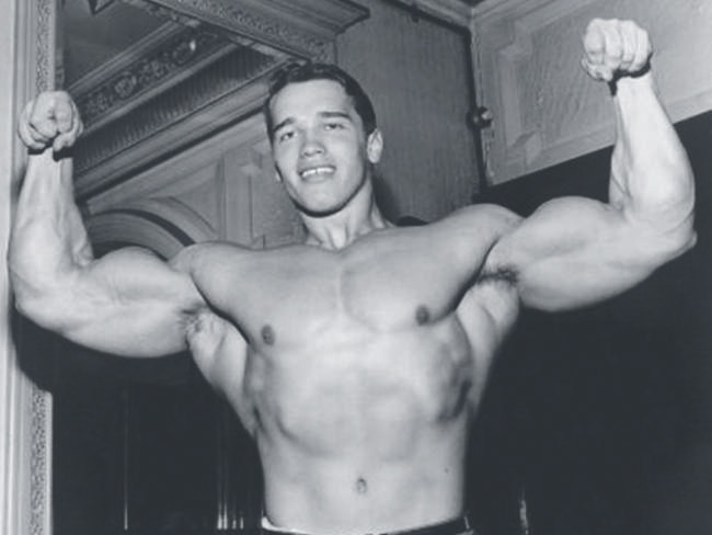 Arnold Schwarzenegger Hollywood star talks legacy fitness and