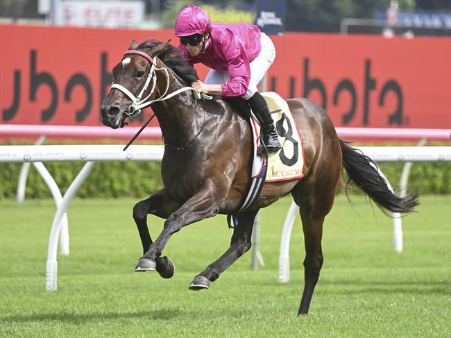 APOLLO STAKES Race 7 - Royal Randwick, 17/02/2024, Winner - Fangirl, Jockey - James McDonald