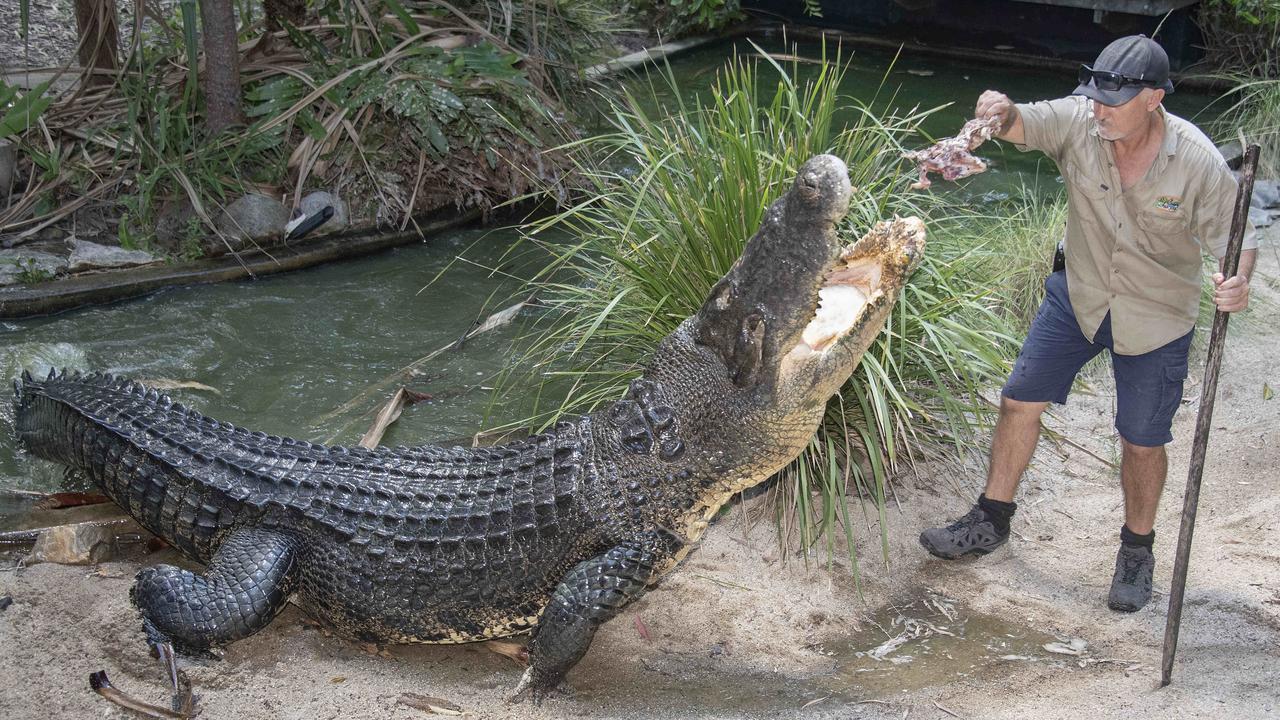 David Littleproud snaps back at reports of 'cruelty' to crocodiles