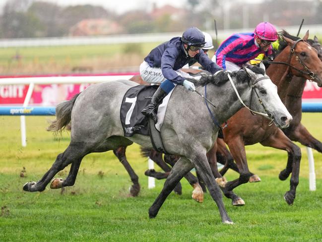 Public Attention (NZ) ridden by Ethan Brown wins the MRC Chairman's Club Handicap at Caulfield Racecourse on July 27, 2024 in Caulfield, Australia. (Photo by Scott Barbour/Racing Photos via Getty Images)