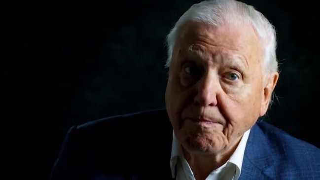 David Attenborough: A Life On Our Planet trailer