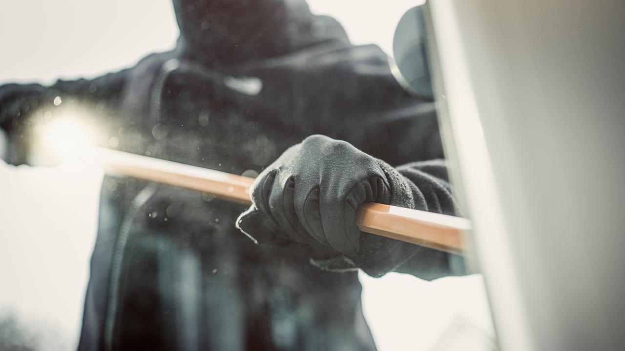 Police bust alleged gang behind Western Sydney crime spree