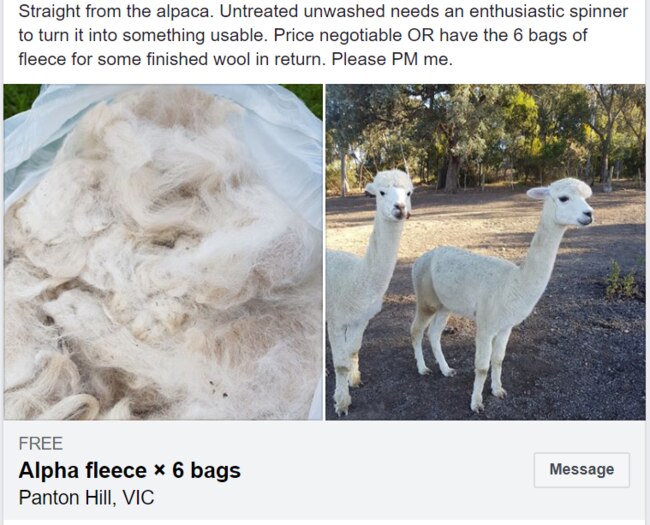 Unwashed and untreated Alpaca wool is up for grabs for free. Picture: Facebook