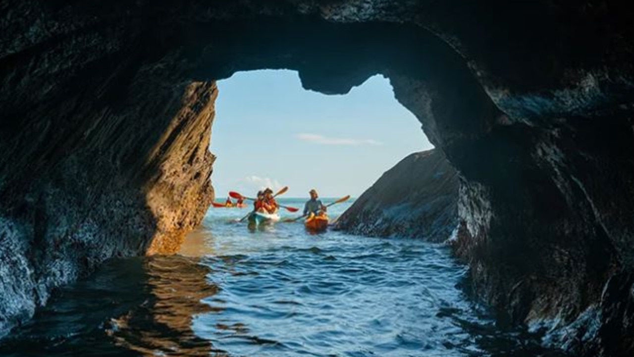 An exhilarating way to get up close and personal with the region’s incredible wildlife. Picture: Adrenaline