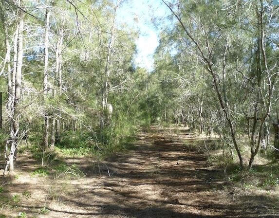 Kangaroo Island is up for sale