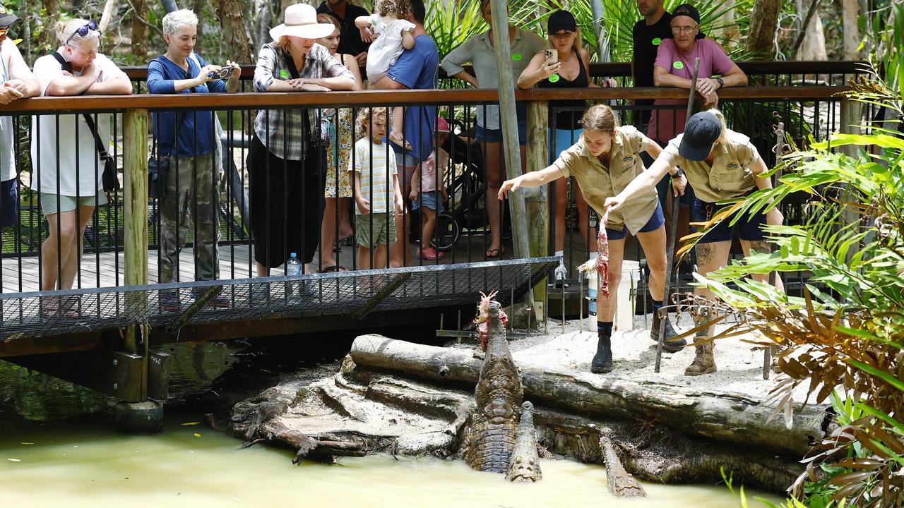 Wildlife handlers Cass Crosby and Rachel Gehan are seen hand feeding chicken to freshwater crocodiles at tourists hotspot Hartley's Crocodile Adventures tourist park, Wangetti. Picture: Brendan Radke