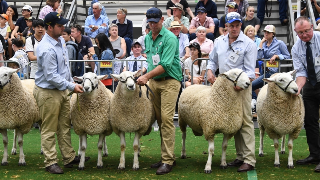 Cancellation of Sydney's Royal Easter Show a great disappointment for farmers