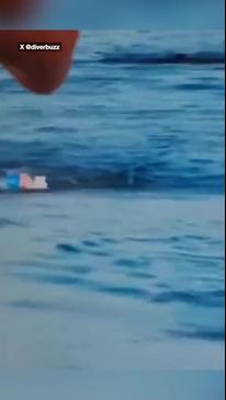 Swimmer drowns on horror livestream