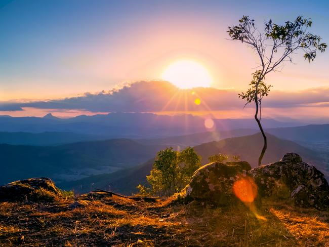 luke's bluff at o'reilly's for backyard tourist in gold coast bulletin