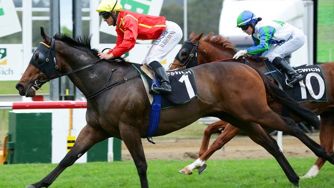 Damian Browne lands the Ipswich Cup-Eye Liner double with Ninth Legion (above) winning the latter. Photographer: Liam Kidston