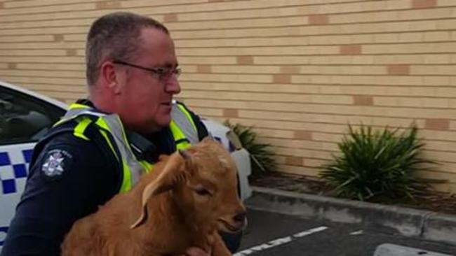 Got your goat. Sunshine police take this kid into custody. Picture: Victoria Police