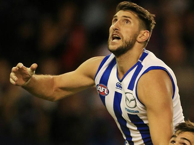 AFL: Round 6 North Melbourne v Western Bulldogs Jarrad Waite & Marcus Adams fPicture:Wayne Ludbey