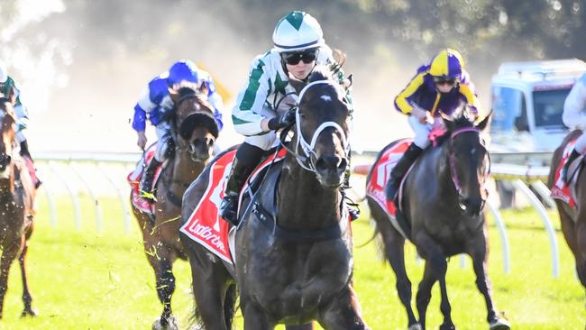 Whipcracker Way is good value in the last race at The Valley. Picture: Racing Photos via Getty Images