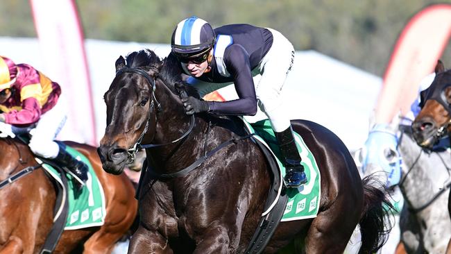 Exciting Adam Campton-trained galloper Deepour wins on Ipswich Cup day. Picture: Grant Peters, Trackside Photography