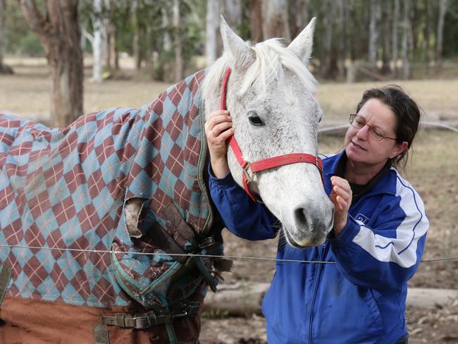 Helen Monday, a member of the coaching team at the Riding for the Disabled Association in Orchard Hills, with one of the horses that survived the recent flooding.