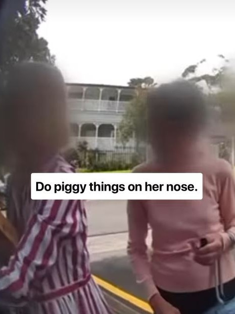 The word “pig” was written on Ms Steggall’s poster. Picture: Facebook/Mosman Collective
