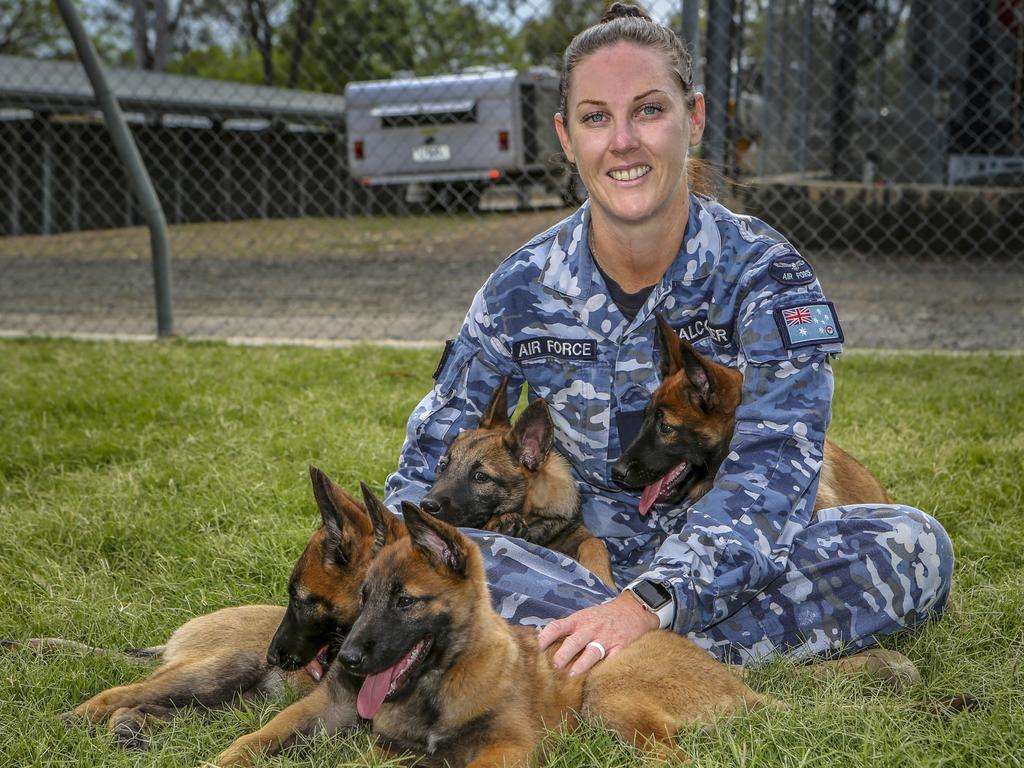 The People’s Pups winning names revealed | Edinburgh Air Show