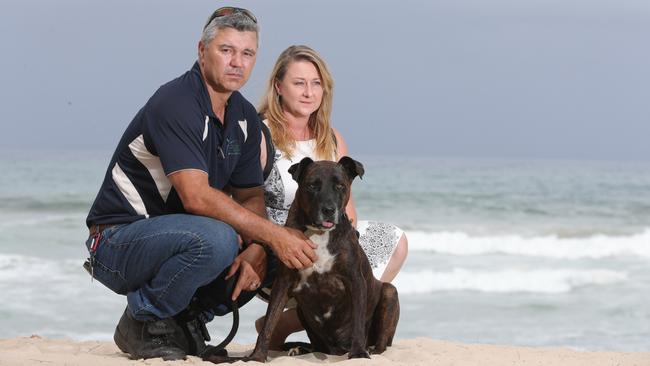 Sub contractors Leisa Tobin and Dan Tobin with their nine year old dog Roxy at Main Beach. Picture Glenn Hampson