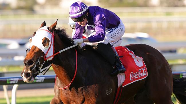 Angel Dancer gave Jeff Lloyd his fourth winner of the day. Picture: Darren England