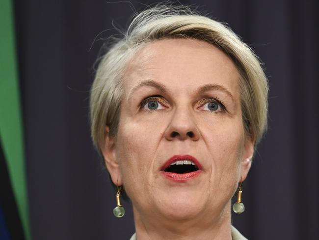 CANBERRA, Australia - NewsWire Photos - October 14, 2024: Tanya Plibersek holds a press conference at Parliament House in Canberra. Picture: NewsWire / Martin Ollman