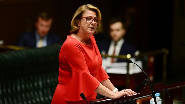 Water Minister Melinda Pavey says households will have to reduce their water usage. Picture: AAP Image/Joel Carrett