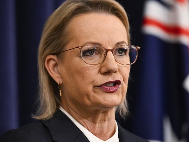 CANBERRA, AUSTRALIA  - NewsWire Photos - May 28, 2025: Leader of the Opposition Sussan Ley and Party leader of the National Party of Australia David Littleproud hold a press conference at Parliament House in Canberra Picture: NewsWire / Martin Ollman