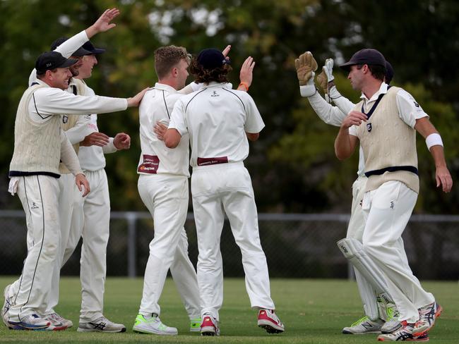 Sam Cook celebrates one of his five wickets. Picture: Mark Dadswell/AAP