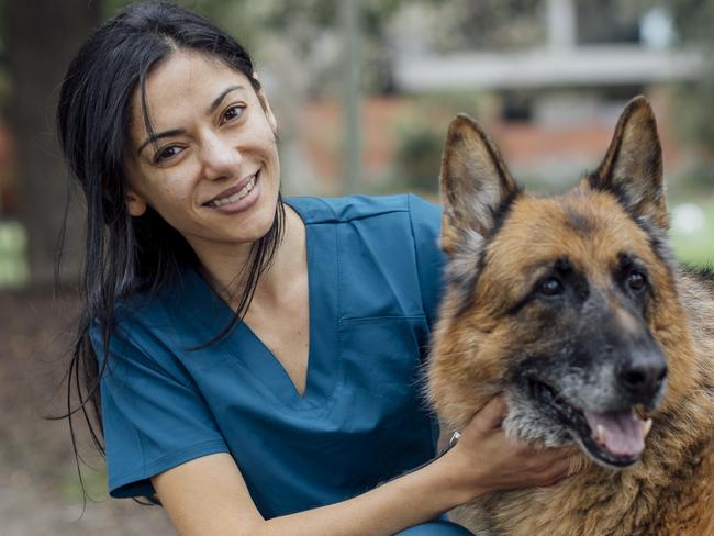 Brunswick resident Elnaz Jafari has opened up a mobile vet clinic that provides care for pets in the northern suburbs, in their own homes.