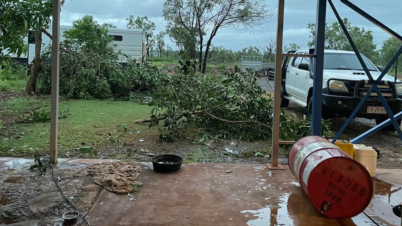 Katherine residents reported trees were knocked down on Wednesday morning before the arrival of Cyclone Tiffany, on January 12. Picture: Contributed