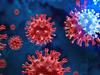 How the hunt for antivirals led to surprise heart discovery