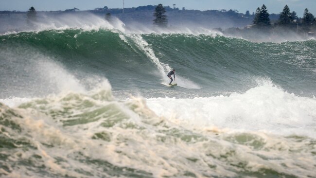 A Surfer catches a large wave at North Narrabeen Beach. Picture: David Gray/Getty Images