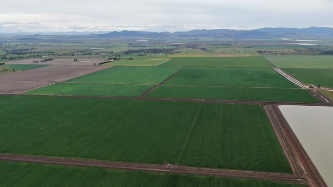 Ruvigne at Gunnedah has predominantly been used for irrigated and dryland cropping.