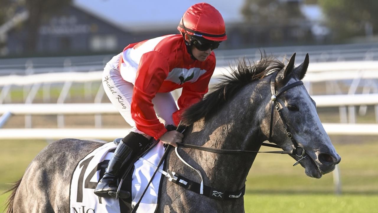 Lightweight The Metropolitan hope, Military Mission, is coming off a last start win in the Newcastle Cup. Picture: Bradley Photos