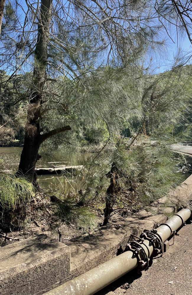 Floodwater reached about three metres and damaged high branches on trees in significant rainfall in April. Picture: Ashleigh Tullis