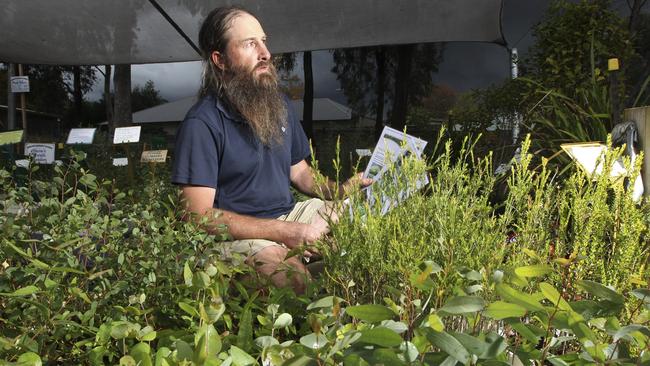 Knox environmentalist Darren Wallace has welcomed a move to allow people to plant on their nature strips.