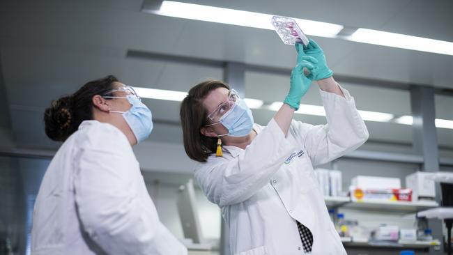 The Walter and Eliza Hall Institute of Medical Researcher Emily Eriksson and Dr Vanessa Bryant. Picture: Supplied.