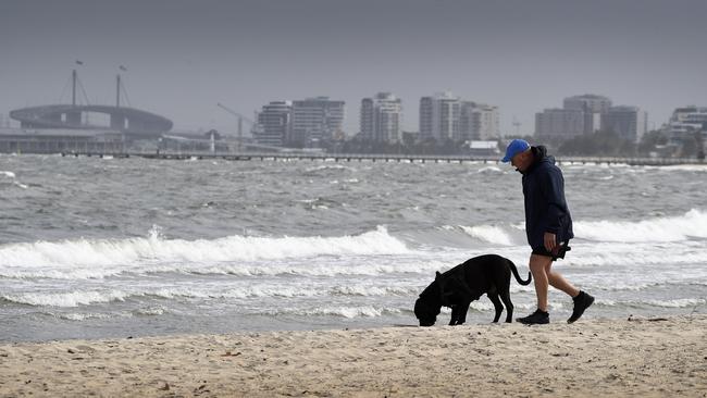 MELBOURNE, AUSTRALIA - NewsWire Photos MAY 21 2023: A man and his dog walk along St Kilda West Beach on a cold and wind Melbourne Sunday. Picture: NCA NewsWire / Andrew Henshaw