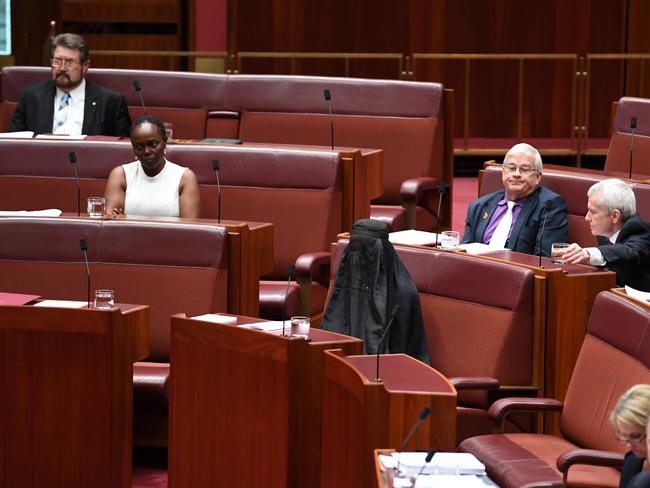 Senators react to the stunt. Picture: AAP