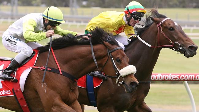 Sandown Races Race 8 Kevin Heffernan stakes 1300 metres won by No 1 Lucky Hussler ridden by Brad Rawiller (inside rail) 2nd No 4 illustrious Lad ridden by Anthony Darnanin on the outside Picture: Wayne Ludbey